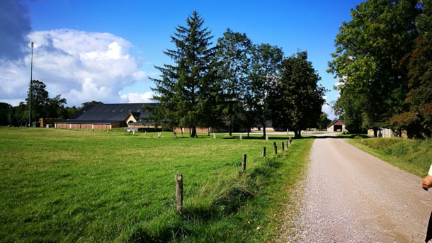 Wedellsborg Forest ca. 2-5 km