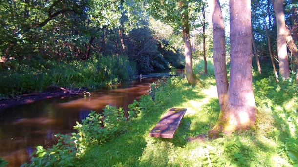 Picnic i Middelfart - Brende Mølle