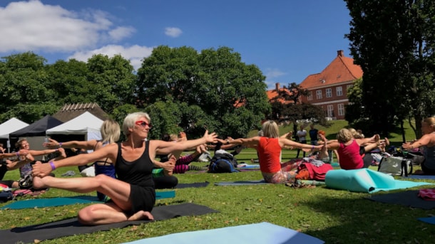 Nordic Yoga Festival - Hindsgavl Slot