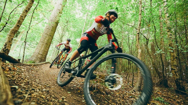 MTB track in Staurby forest