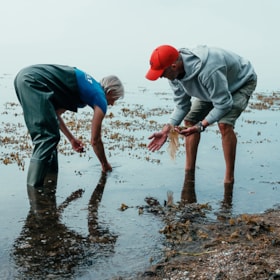 Naturpark Lillebælt