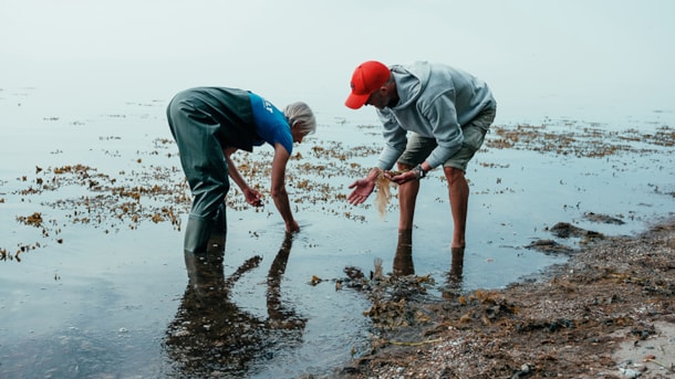 Naturpark Lillebælt