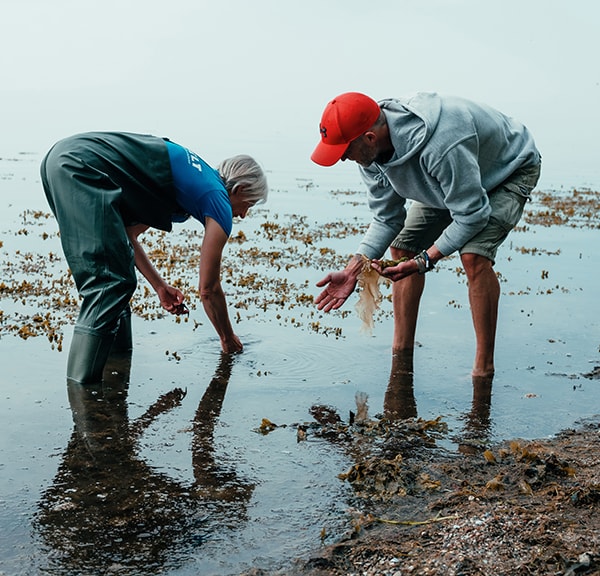 Lillebælt Nature Park