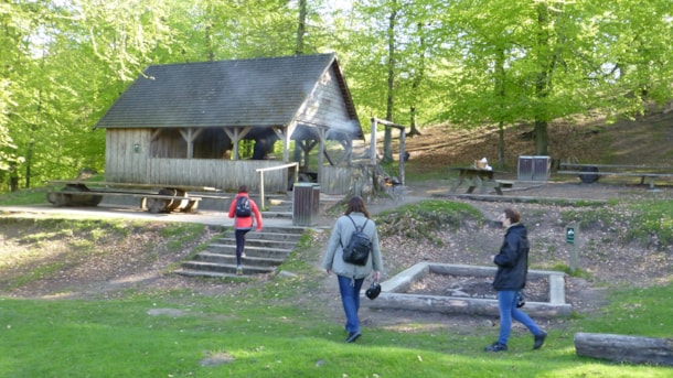 Picnic i Middelfart - Kobakken