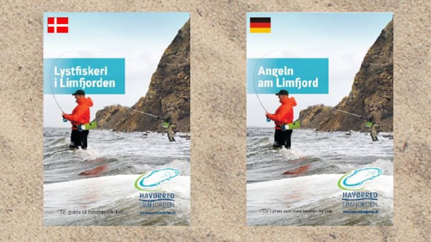 Book: Fishing in the Limfjord - A Guide to Sea Trout-fishing 