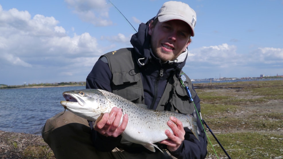 Fishing trip to Mors and the Limfjord
