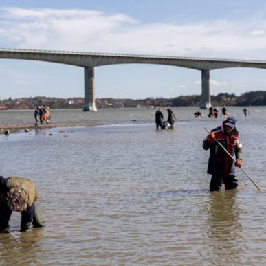 ØSTERSJAGT ved Limfjorden