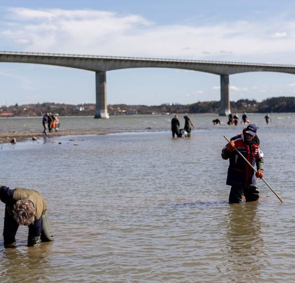 ØSTERSJAGT ved Limfjorden