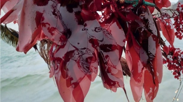 Sanketur langs kysten med Dansk Skaldyrcenter