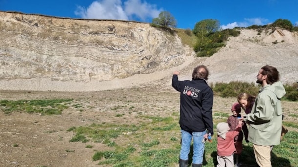 Guidet Fossiljagt ved Fossil- og Molermuseet