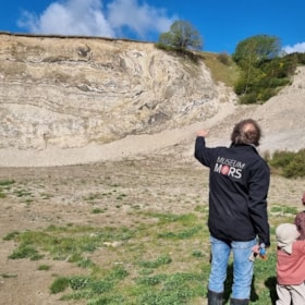 Guidet Fossiljagt ved Fossil- og Molermuseet