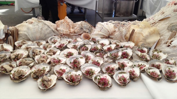 Oyster and Mussel Premiere - each year in october