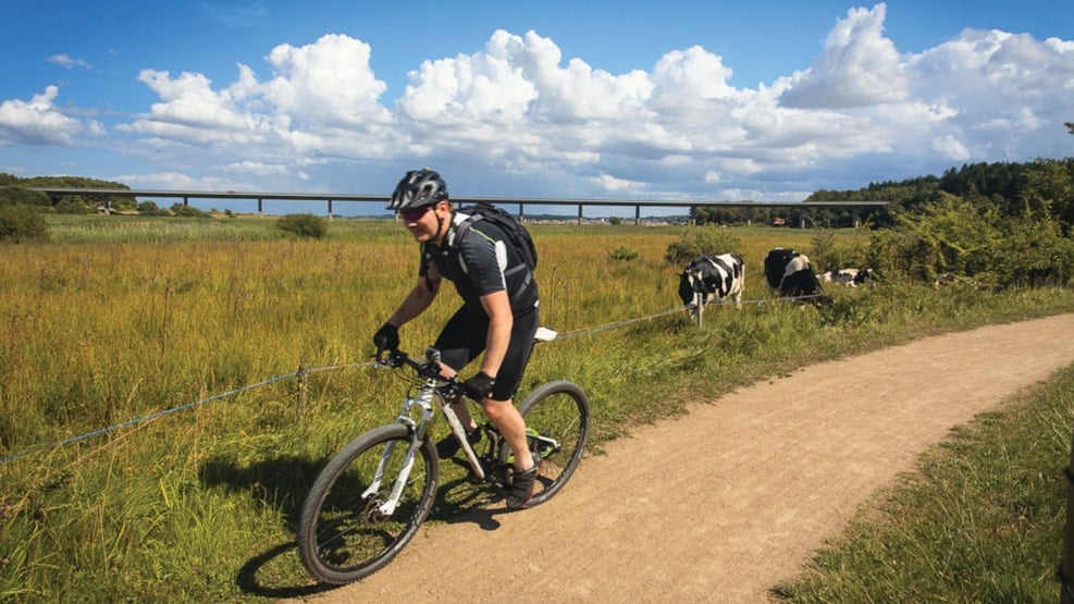 Bike tour - Southern part of Mors