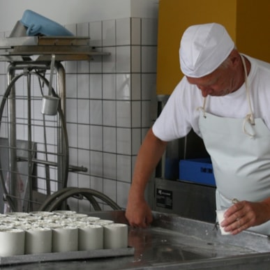 Hårbølle Mejeri og osteri