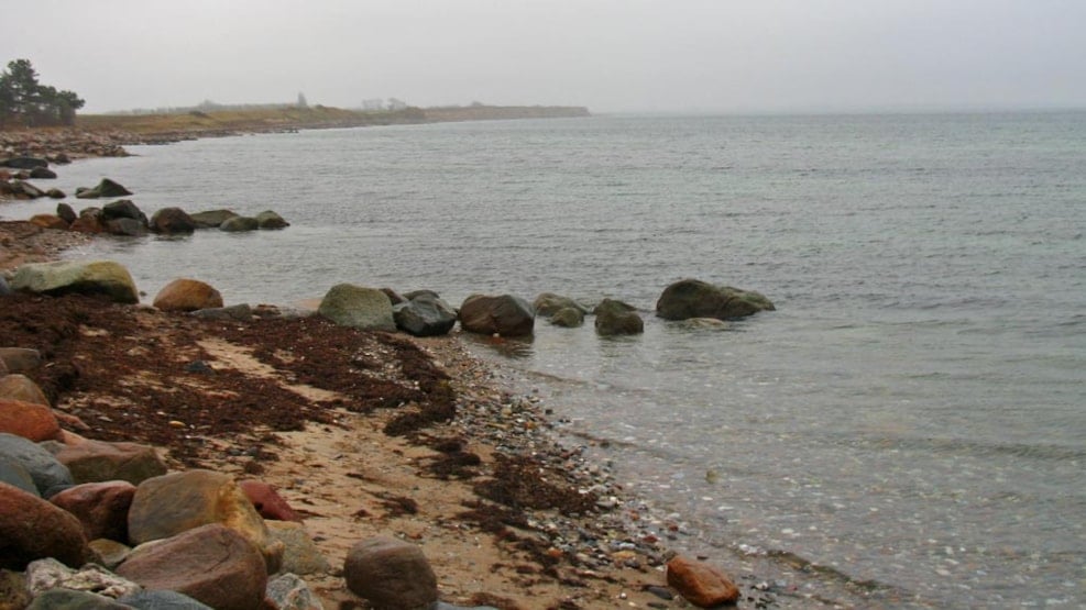 Fishing at Enø by Karrebæksminde