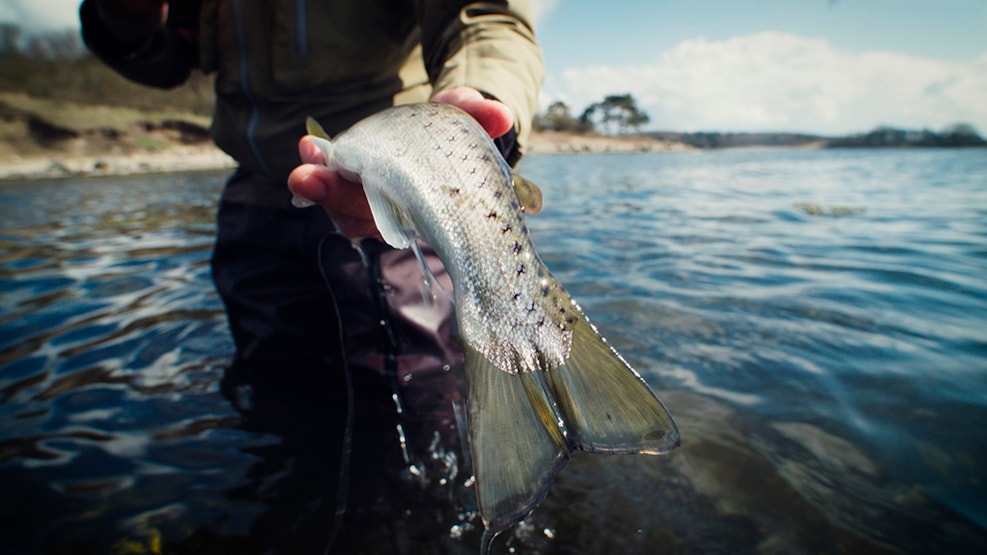 Fishing water at Gjorslev Beech forest.