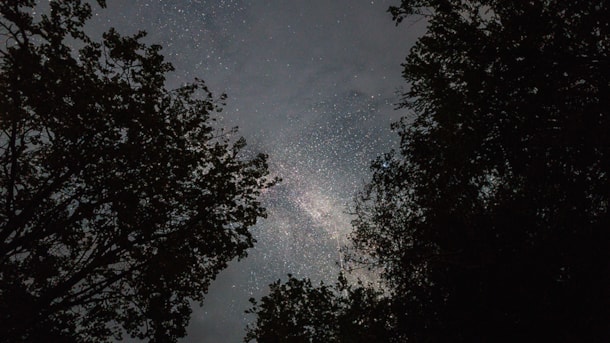 Liselund Palace Park Dark Sky Star Spot