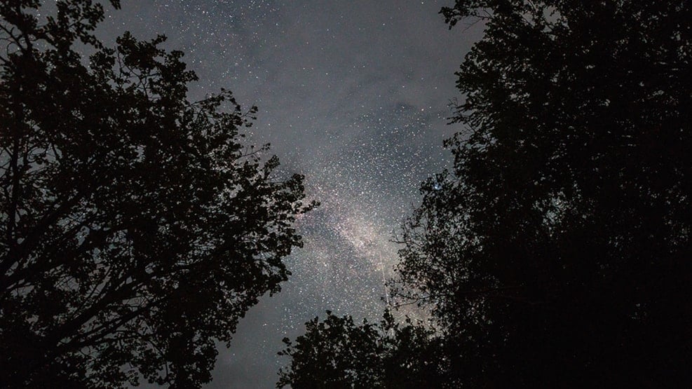 Liselund Palace Park Dark Sky Star Spot