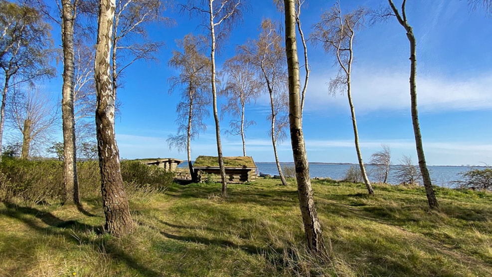 Avnø Fjord