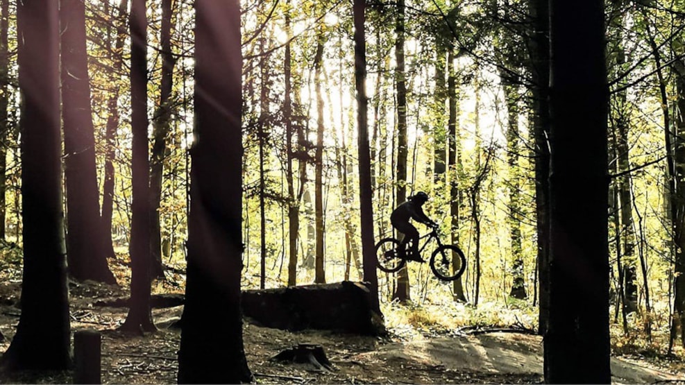 Mountain Bike in Faksinge Forest