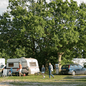 Møn Strandcamping – Ulvshale