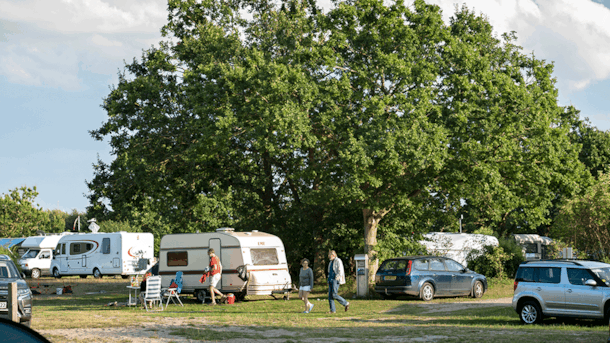Møn Strandcamping – Ulvshale