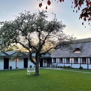 Kirsebærkroen - The Inn Between