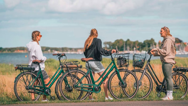 uheldigvis Meningsløs Jeg er stolt Fahrradverleih in der Region Præstø-Fjord | Sydsjælland & Møn