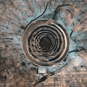 Camp Adventure - The Forest Tower, climbing park and glamping