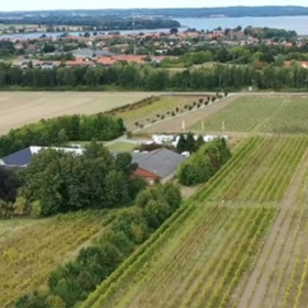 Præstø Vingård
