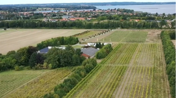 Præstø Vingård