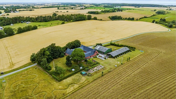 Ellevilde Boutique Hotel