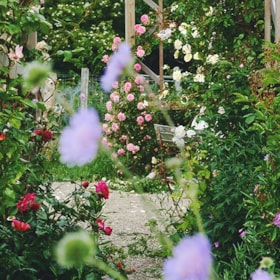 Brorjords Have - En sanselig besøgshave