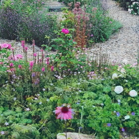 Brorjords Planteskole - En bæredygtig planteskole med historiske & hårdføre planter