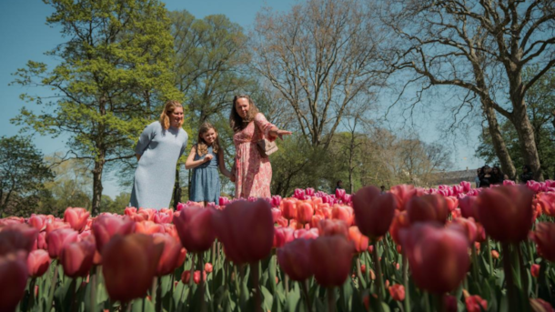 Danmarks største Tulipanfestival på Gavnø Slot