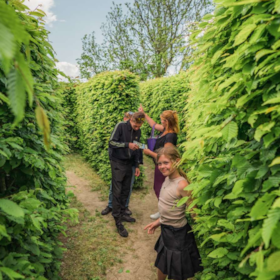 Kalvehave Labyrinthpark