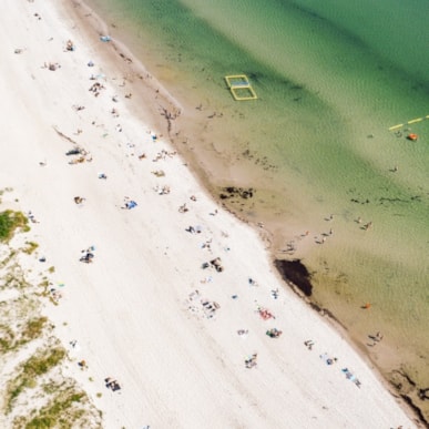 Feddet Strand Resort - Das ultimative Familienabenteuer