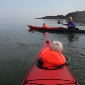 Sea Kayak and SUP Boards Rentals in North Funen