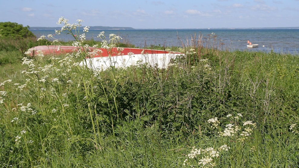 Fishing at Skåstrup Beach