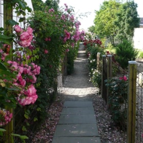 The Rose walkway on Adelgade