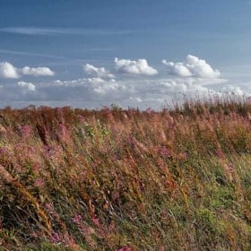 Nærå Strand 