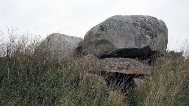 Gåsestenen (the Goose Stone)