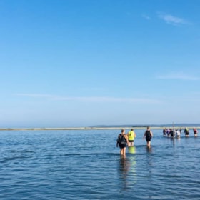 Guided walk to Æbelø