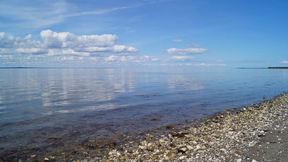 Coastal trail Nordfyn