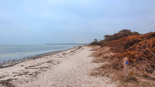 Coastal trail Nordfyn