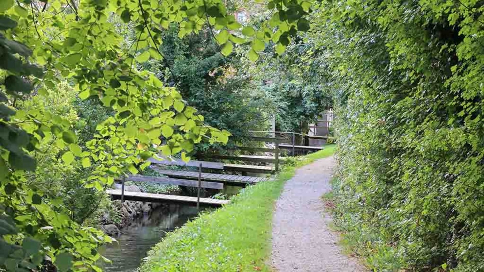 The Watchman’s Path in Bogense