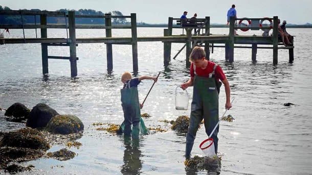 Fjord Tag bei Klintebjerg