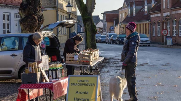 Market day in Bogense