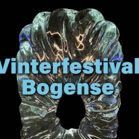 Vinterfestival i Bogense