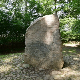 Gruppetur til Glavendruplunden